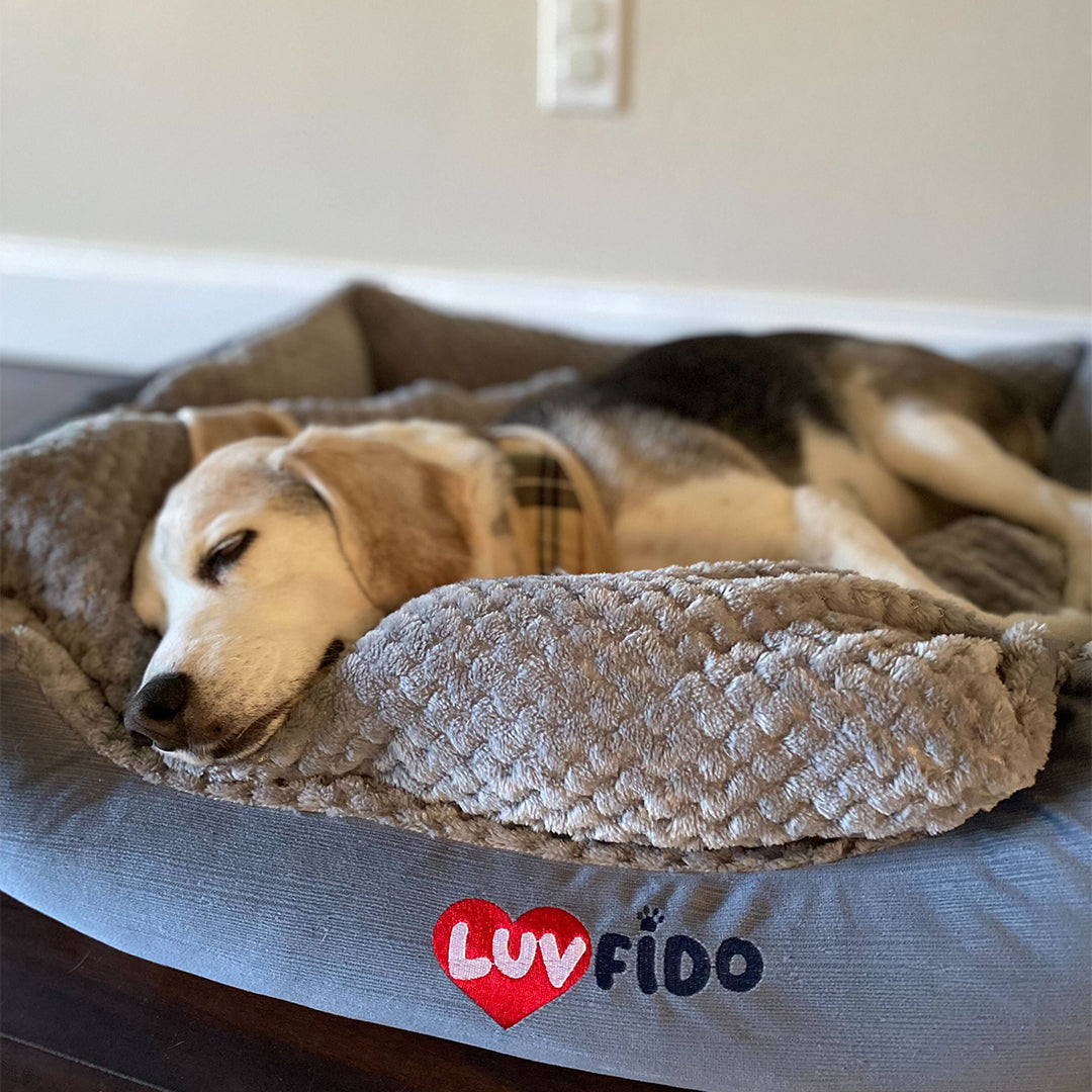 LuvFido Cuddle Bed Grey